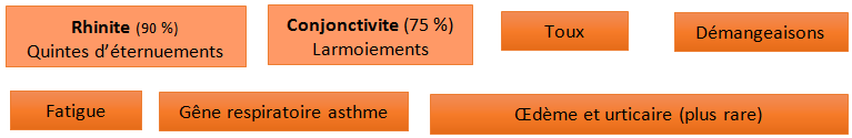 Symptômes d’allergie aux pollens
